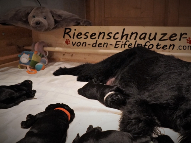 Woche 1