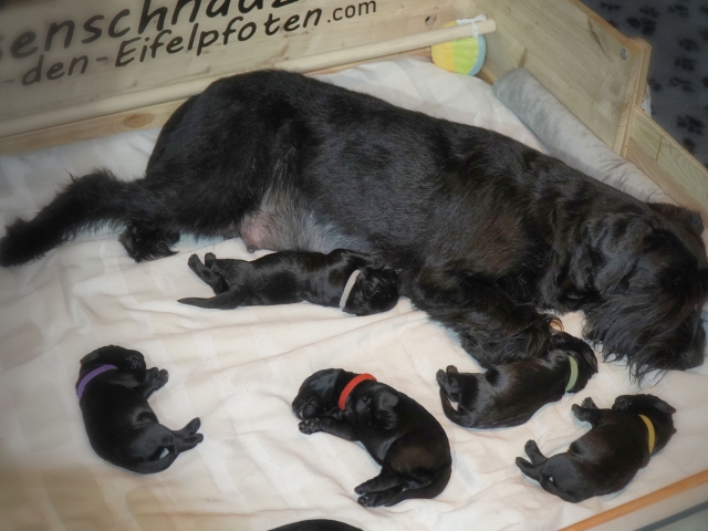Woche 1