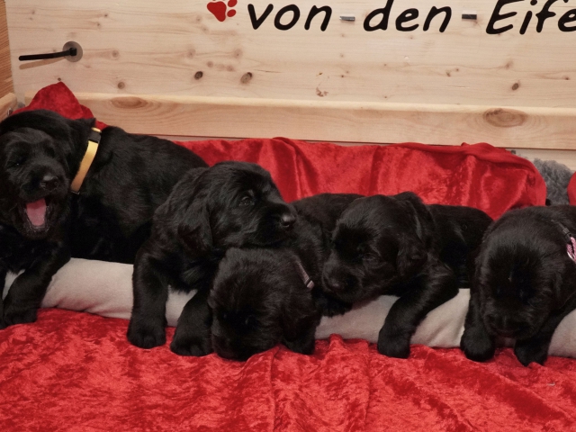Woche 3