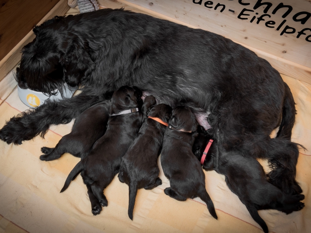 Woche 3