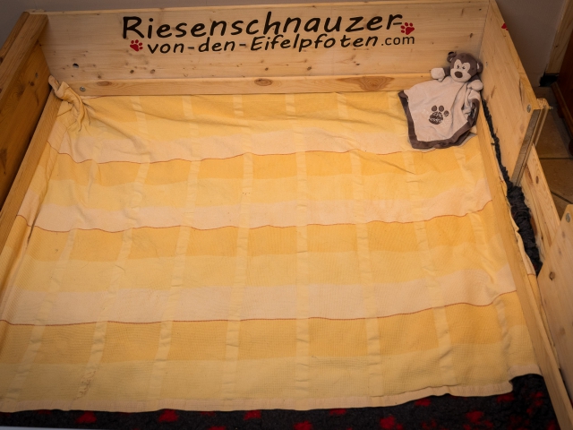 Woche 3