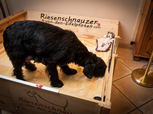 Woche 3
